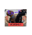 wonderfulLife2018-2（個別スタンプ：6）