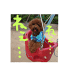 wonderfulLife2018-2（個別スタンプ：7）