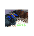 wonderfulLife2018-2（個別スタンプ：9）