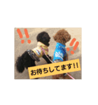 wonderfulLife2018-2（個別スタンプ：10）