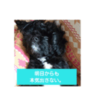 wonderfulLife2018-2（個別スタンプ：12）