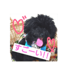 wonderfulLife2018-2（個別スタンプ：15）