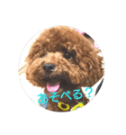 wonderfulLife2018-2（個別スタンプ：16）