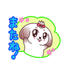 シーズー犬は癒し系だよスタンプ（個別スタンプ：12）