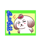 シーズー犬は癒し系だよスタンプ（個別スタンプ：24）