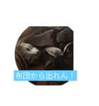 ロシにゃん（個別スタンプ：4）