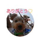 ちゃ太郎。（個別スタンプ：3）