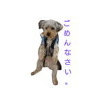 ちゃ太郎。（個別スタンプ：4）
