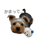 ちゃ太郎。（個別スタンプ：8）