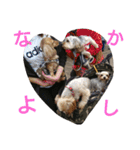 ちゃ太郎。（個別スタンプ：16）