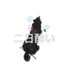 kota ＆baby  stamp（個別スタンプ：1）