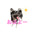 kota ＆baby  stamp（個別スタンプ：9）