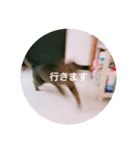 れんりんらんあずき（個別スタンプ：11）