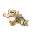 れんりんらんあずき（個別スタンプ：19）