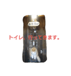 habuchi（個別スタンプ：6）
