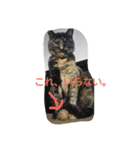 habuchi（個別スタンプ：12）