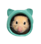 pumico（個別スタンプ：1）