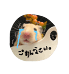 pumico（個別スタンプ：4）