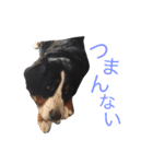 蘭RANランちゃん♪（個別スタンプ：1）