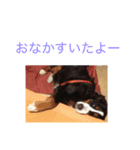 蘭RANランちゃん♪（個別スタンプ：4）