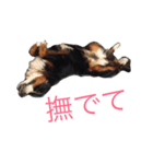 蘭RANランちゃん♪（個別スタンプ：7）
