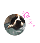 蘭RANランちゃん♪（個別スタンプ：9）