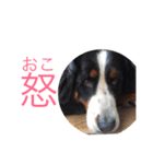 蘭RANランちゃん♪（個別スタンプ：12）