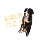 蘭RANランちゃん♪（個別スタンプ：16）
