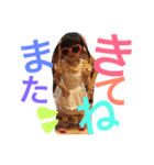 kohamaka（個別スタンプ：5）