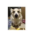 瑠斗とまぁる（個別スタンプ：3）