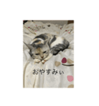 瑠斗とまぁる（個別スタンプ：4）