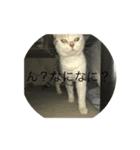 瑠斗とまぁる（個別スタンプ：6）