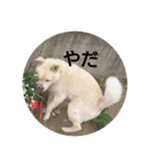 おぐら家のどうぶつ（個別スタンプ：4）