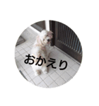 おぐら家のどうぶつ（個別スタンプ：8）