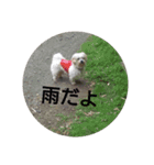 おぐら家のどうぶつ（個別スタンプ：15）