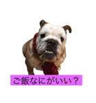ブサ可愛い一言スタンプ（個別スタンプ：2）