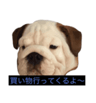 ブサ可愛い一言スタンプ（個別スタンプ：7）