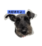 friendly shin（個別スタンプ：1）