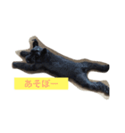 friendly shin（個別スタンプ：5）