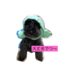 friendly shin（個別スタンプ：8）