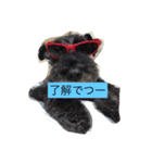 friendly shin（個別スタンプ：10）