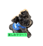 friendly shin（個別スタンプ：11）