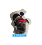 friendly shin（個別スタンプ：12）