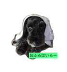 friendly shin（個別スタンプ：13）