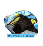 friendly shin（個別スタンプ：15）