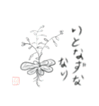 シロイヌナズナ Arabidopsis thaliana（個別スタンプ：31）