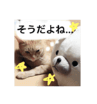 とらまろ♥スタンプ（個別スタンプ：11）