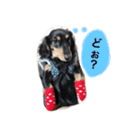とらまろ♥スタンプ（個別スタンプ：18）
