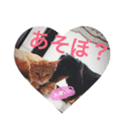 とらまろ♥スタンプ（個別スタンプ：20）