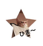 とらまろ♥スタンプ（個別スタンプ：25）